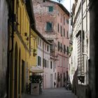 Gasse in Lucca