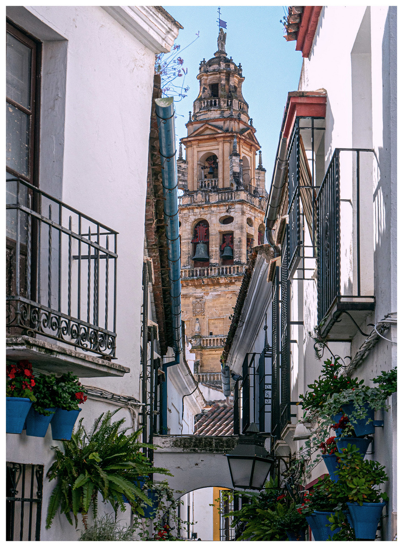 Gasse in Malaga