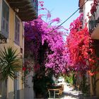 Gasse in Nafplio