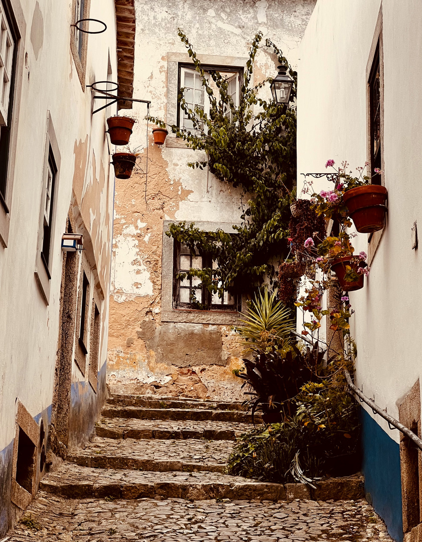 Gasse in Obidos...