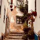 Gasse in Obidos...