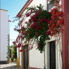 Gasse in Obidos