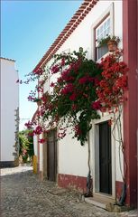 Gasse in Obidos