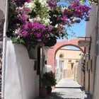 Gasse in Oia