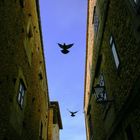 Gasse in Salamanca - Spanien