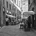 Gasse in Siena