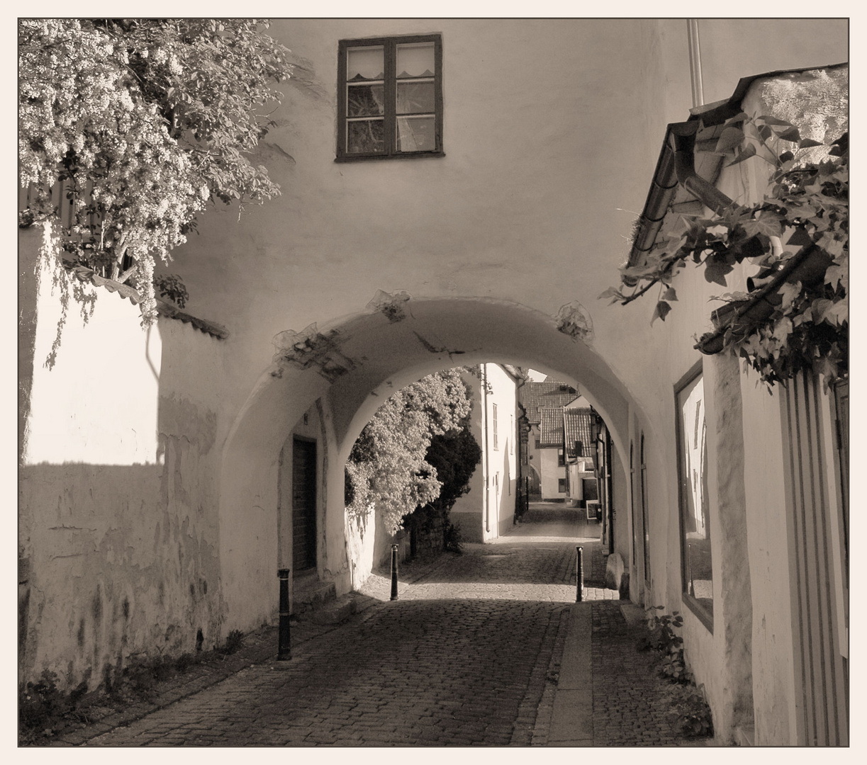 Gasse in Visby / Gotland