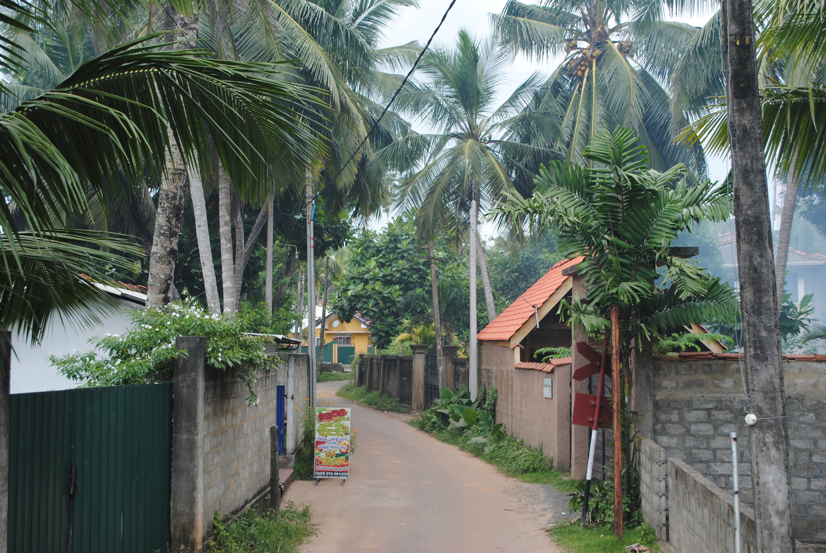 Gasse Sri Lanka