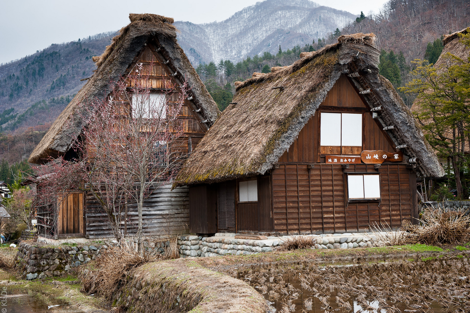 Gassho-Häuser in Shirakawa-go