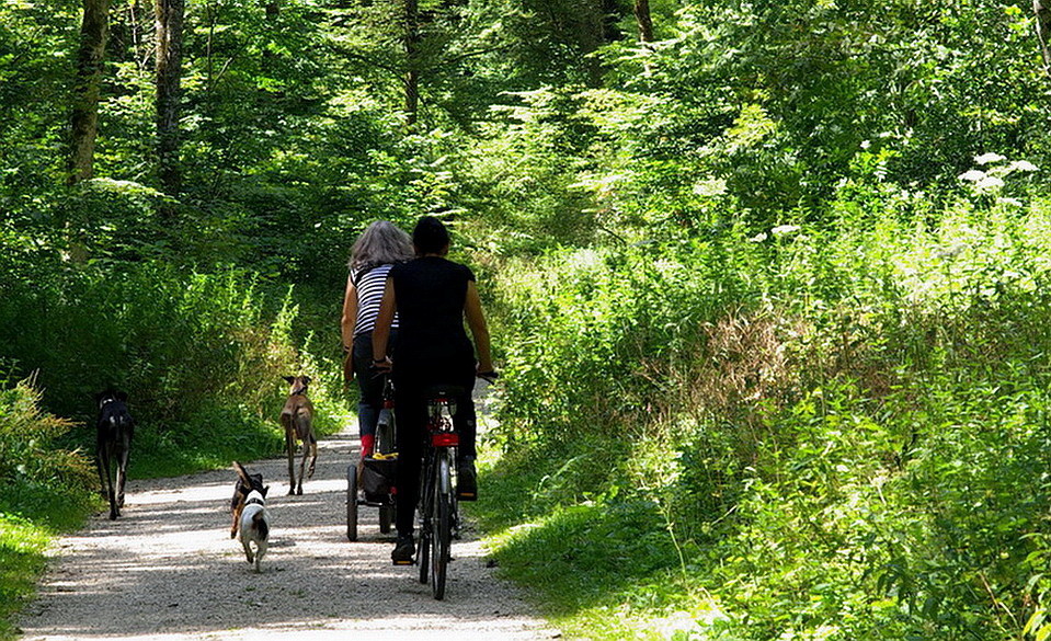 "Gassi fahren" im Lautertal