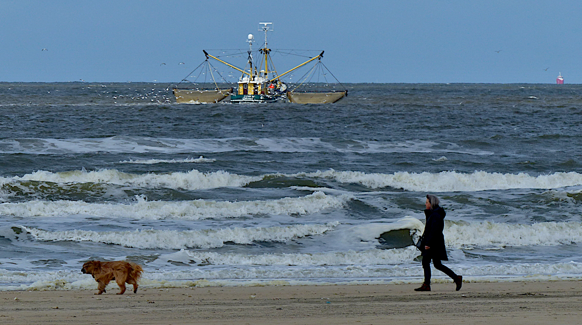 Gassi gehen am Meer