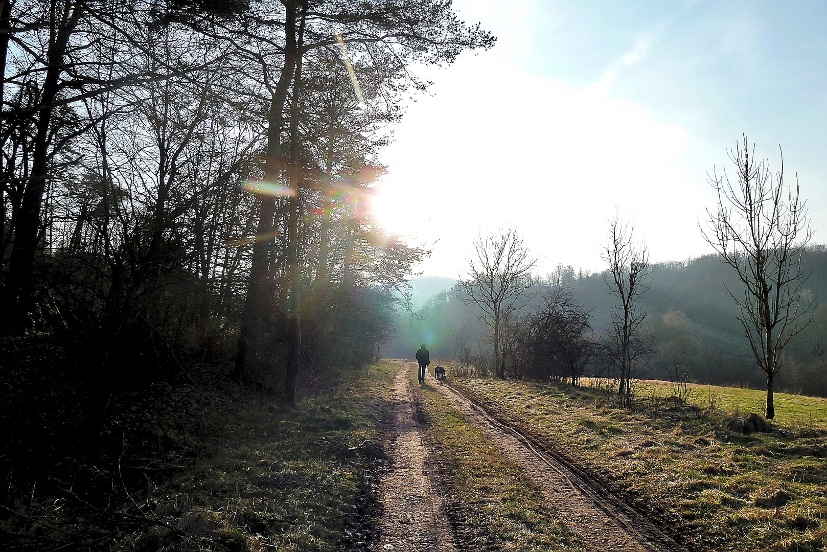 Gassi gehen im Abendlicht