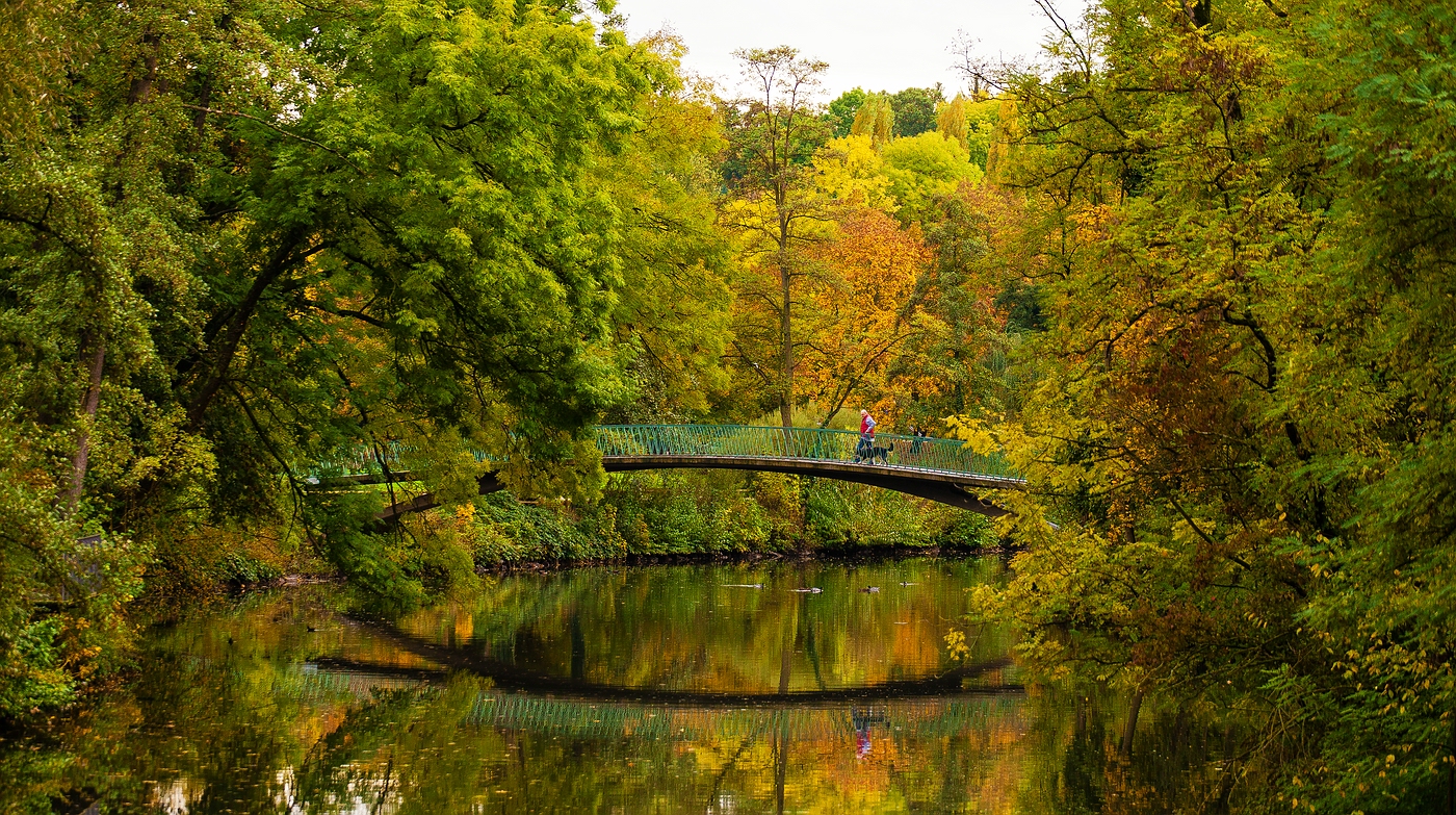 Gassi gehen im Herbst