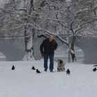 Gassi gehen im Schneetreiben