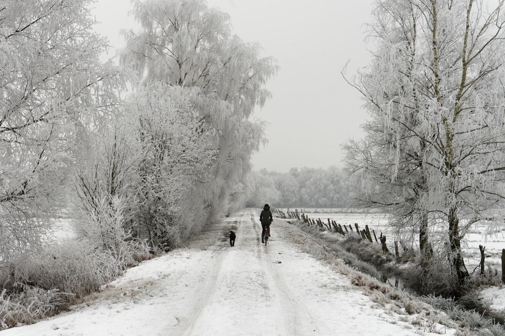 Gassi gehen im Winter!