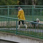 Gassi gehen morgens  ..."Frauchen" scheut sich nie, bei solchem Wetter,