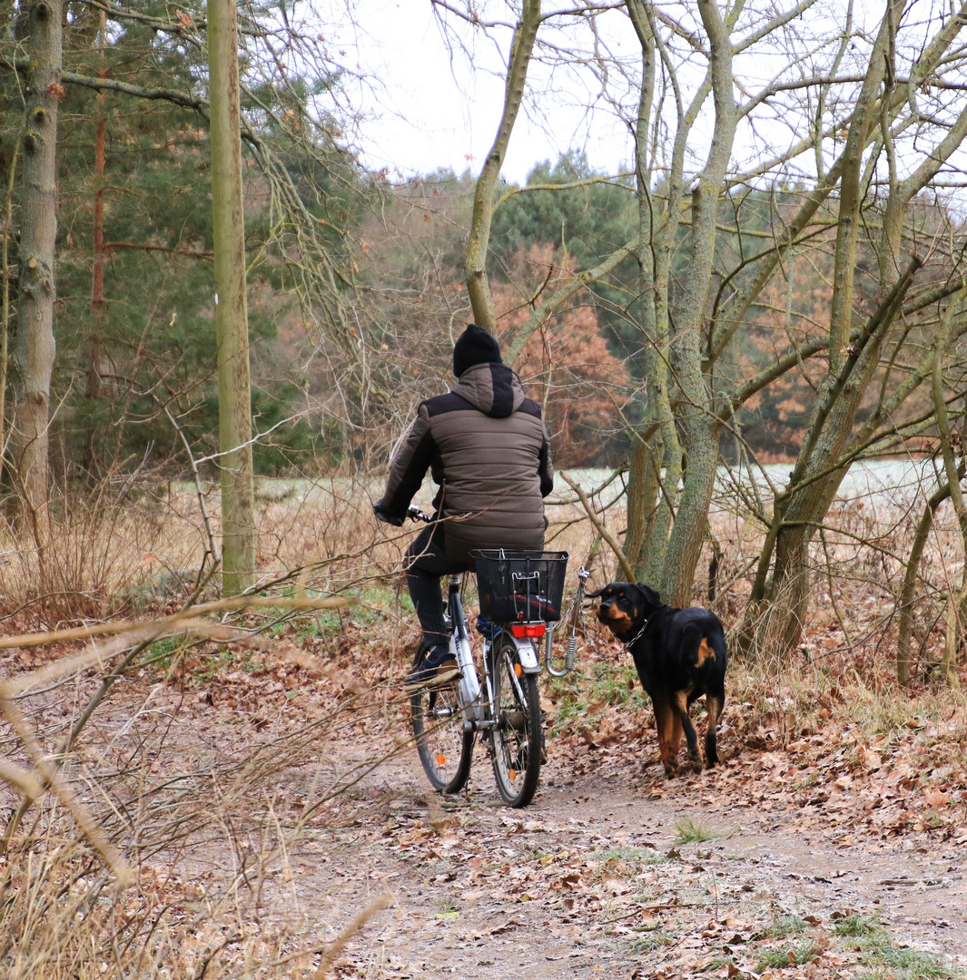 Gassi gehen und fahren