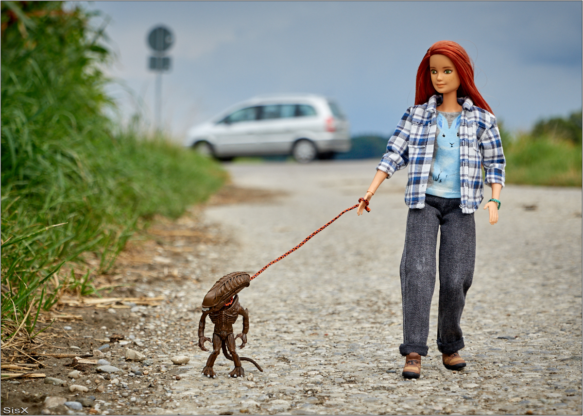 Gassi mit dem Tierchen