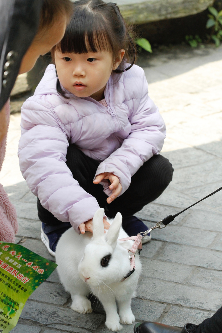 gassi mit Hasi