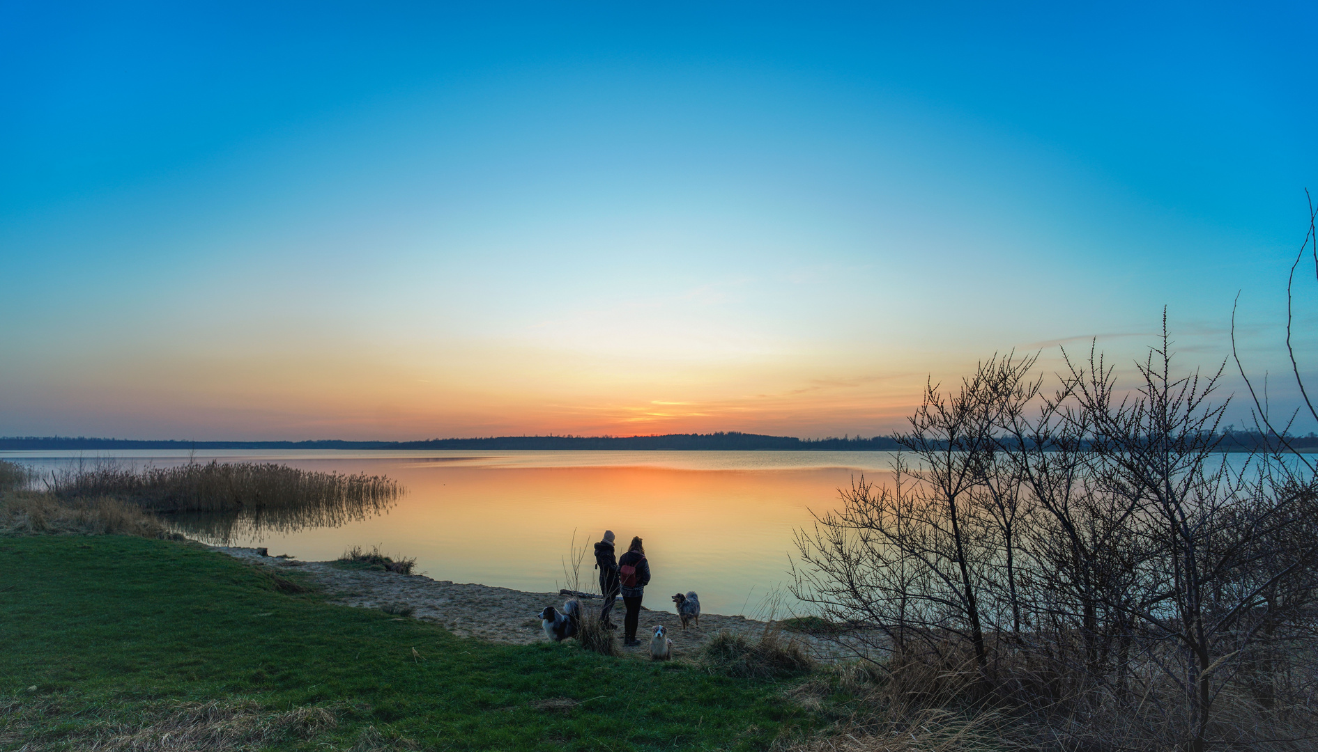 "Gassi-Runde"