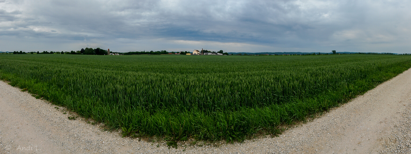 Gassi-Runden-Pano