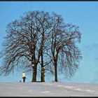 Gassigänger im Schnee