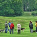 Gassigehen im Park