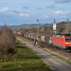 Gassigehen mit dem Fahrrad und die "Übergabe" nach Chiasso