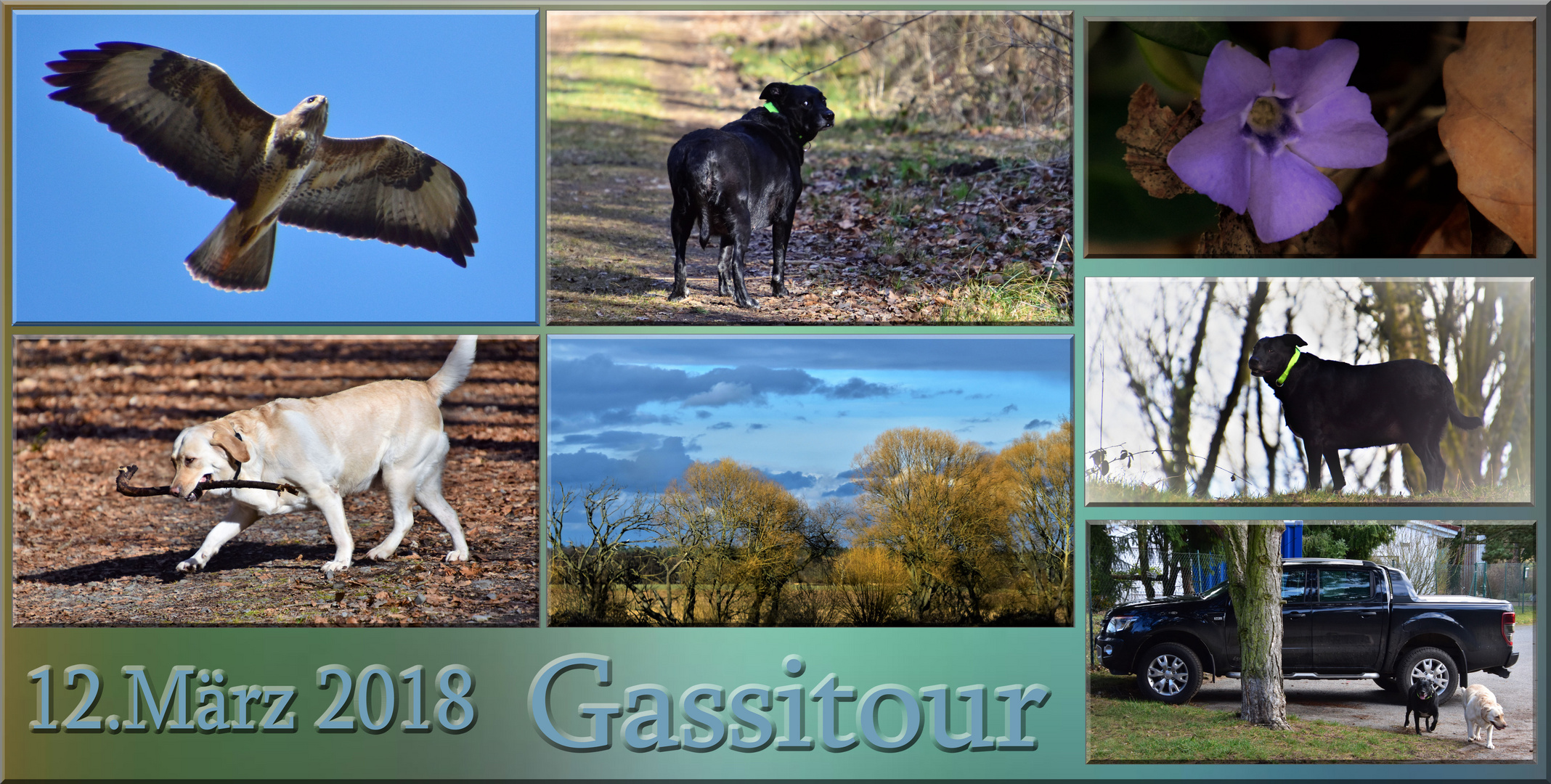 Gassitour