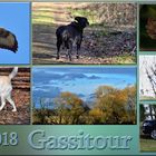 Gassitour