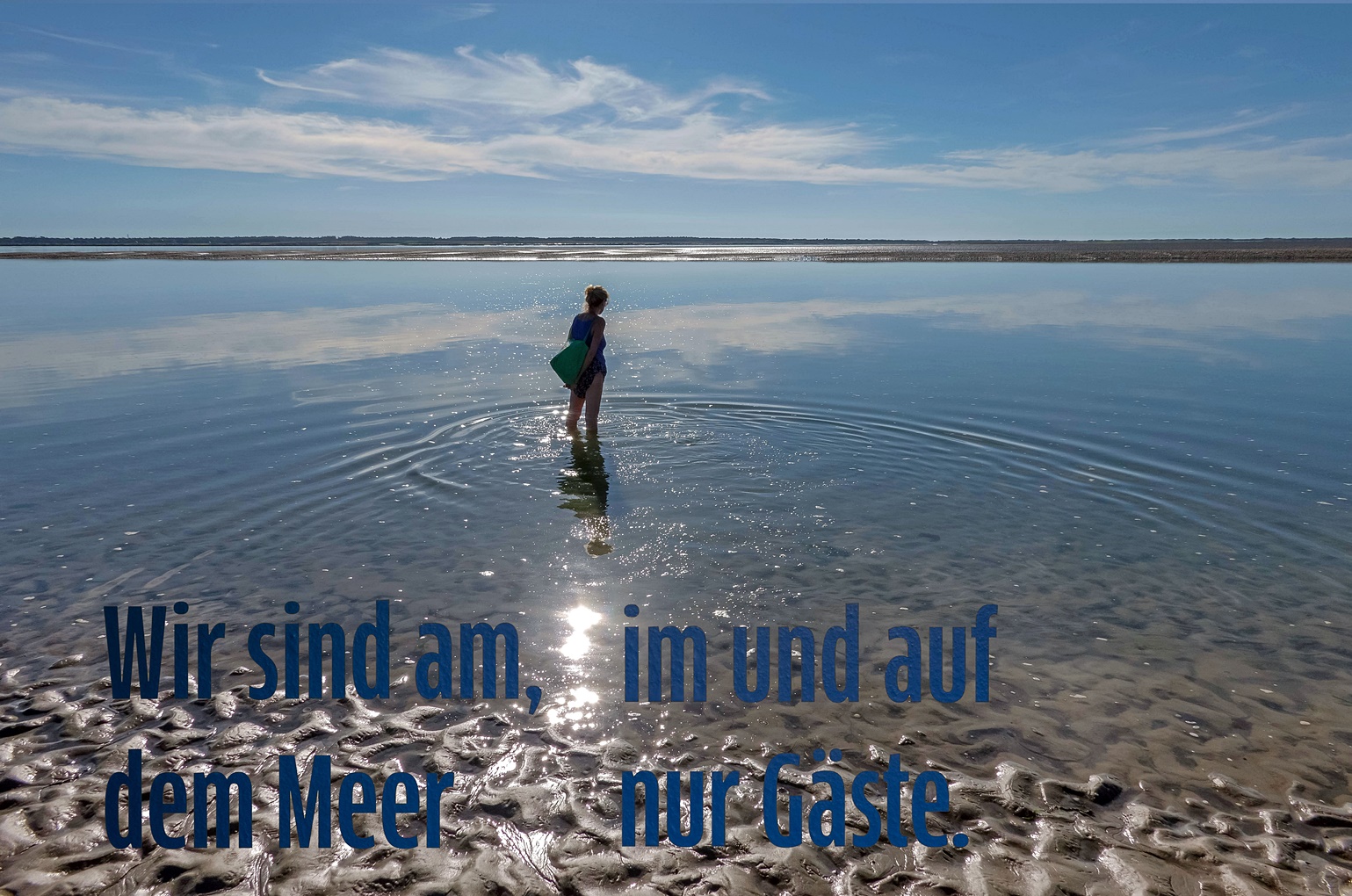 Gast auf dem Meer