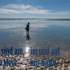 Gast auf dem Meer