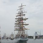 Gast der Hanse Sail Rostock - die polnische "Dar Mlodziezy"