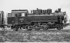 Gastdampflokomotive 131.060