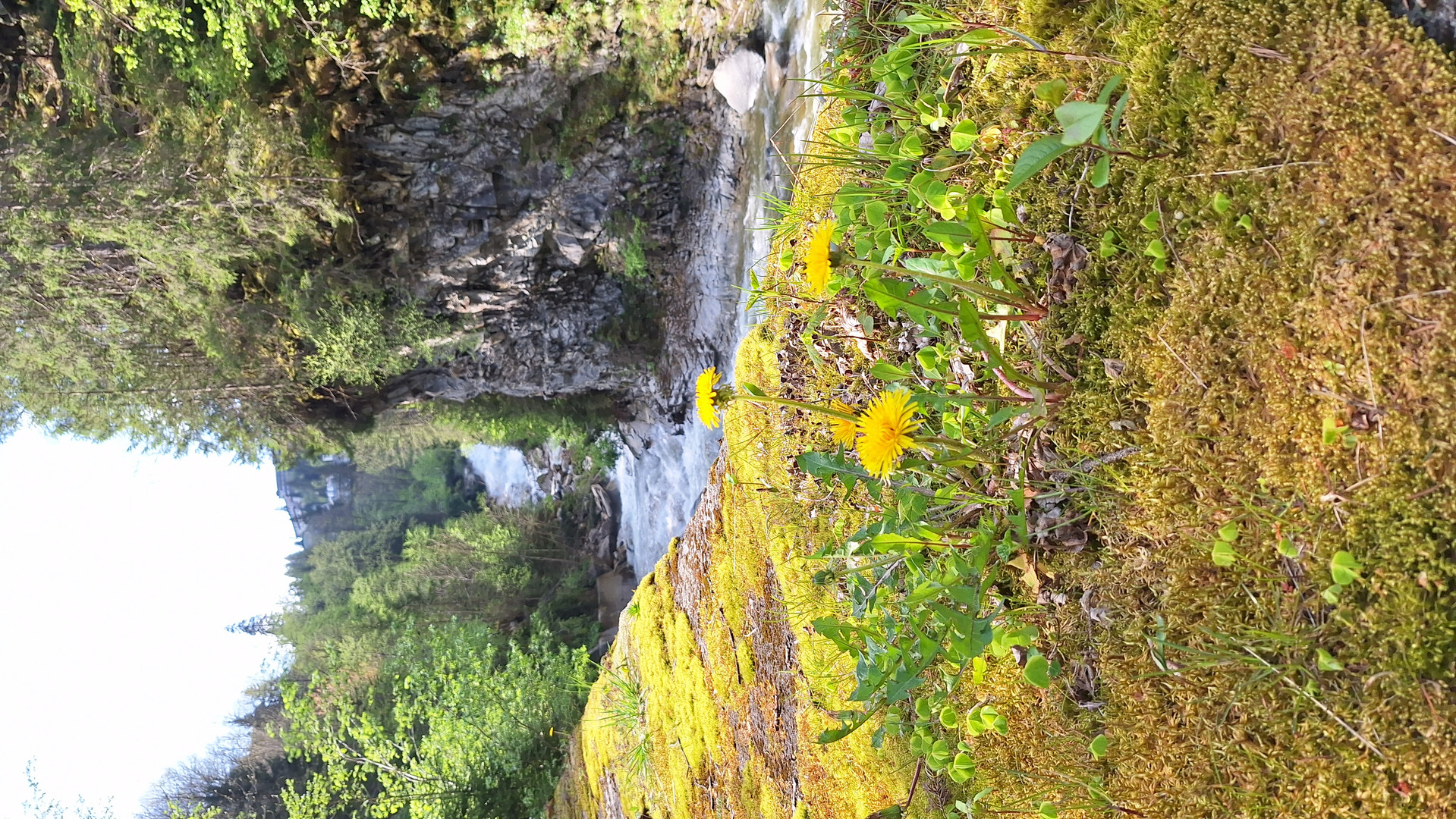 Gasteiner Wasserfall-Weg