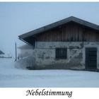 Gastein_Ski,Berge & Thermen_Nebelstimmung