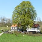 Gasthaus "Lochbauer" in Plauen/Vogtland