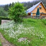 Gasthaus "Seehäusl" am Kleinen Arbersee