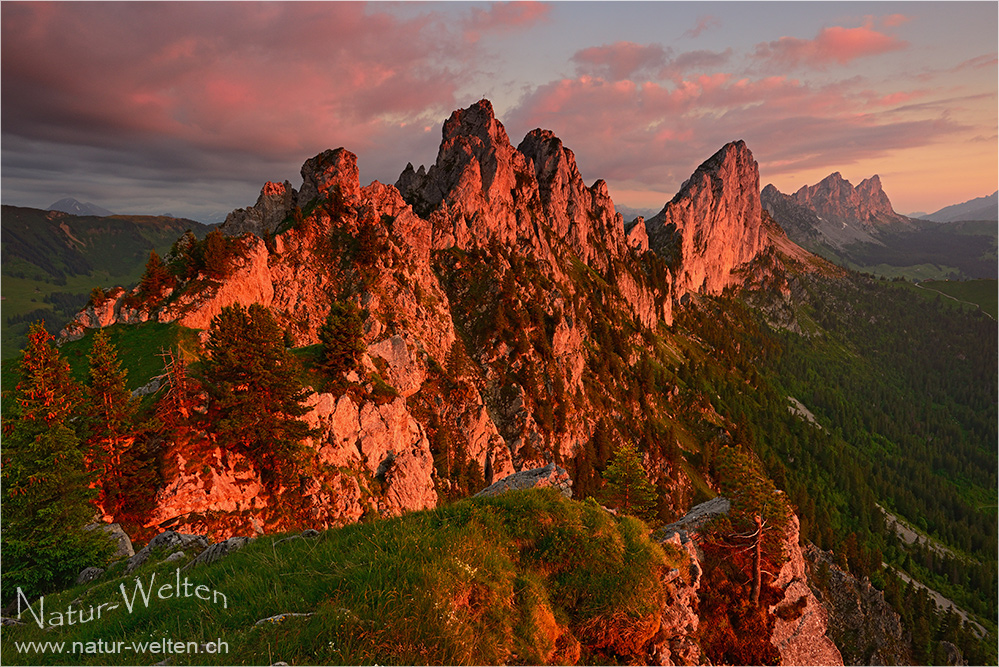 Gastlosen im Abendrot