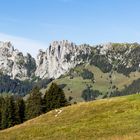 Gastlosen mit Sennhütte (vom Jaunpass her gesehen)