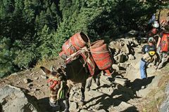 Gastransport in Nepal
