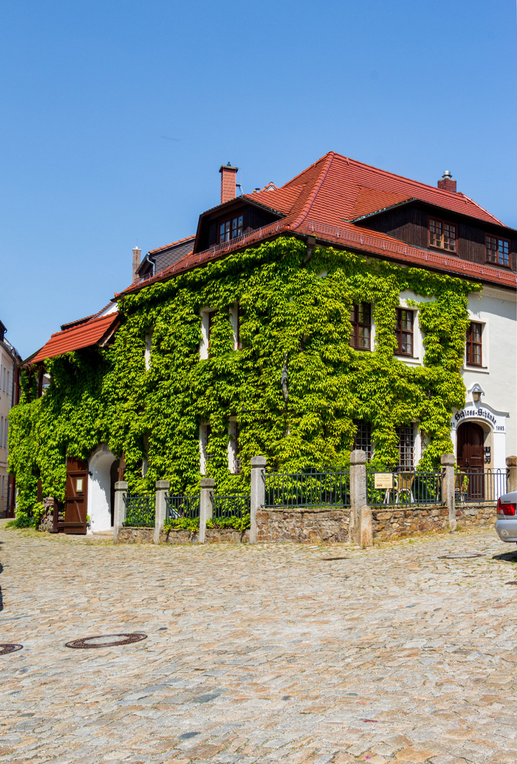 Gaststätte mit Wilden Wein