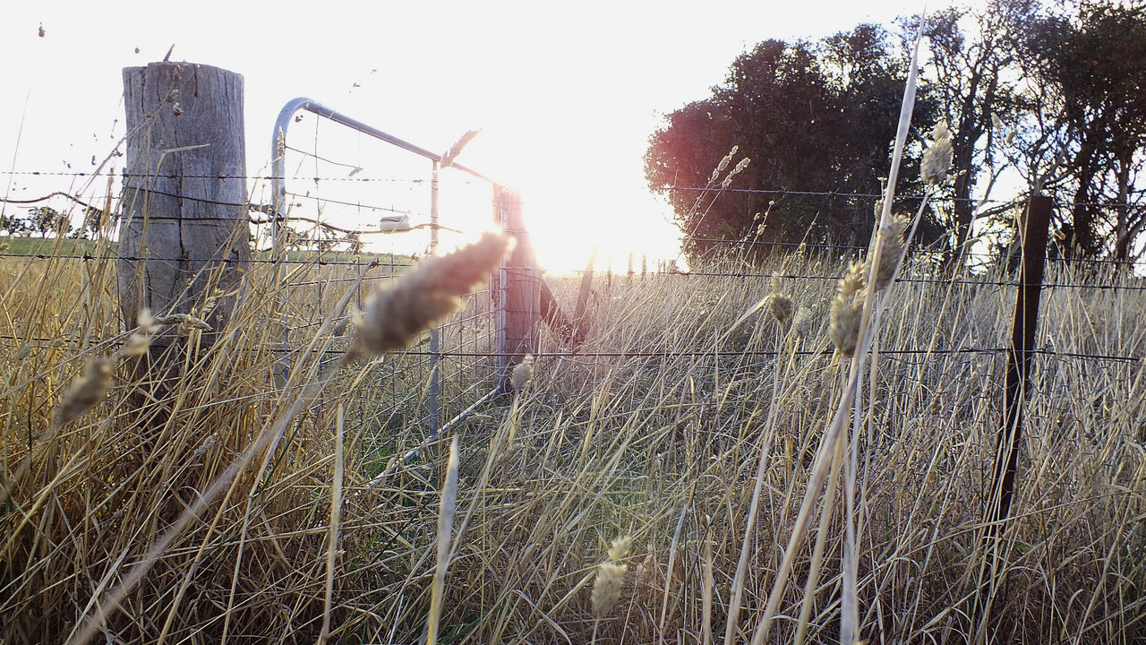 Gate in South Australia