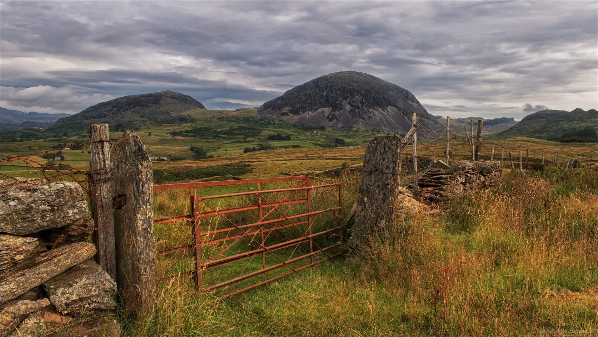 Gate into the wild