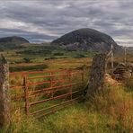 Gate into the wild