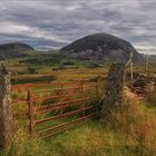 Gate into the wild