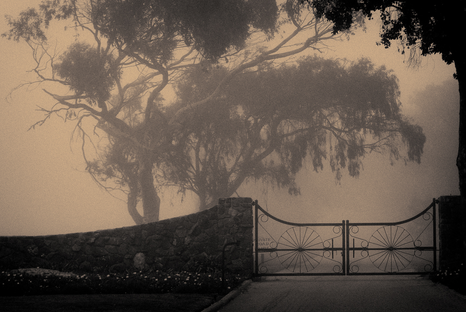 Gate near San Simeon, CA