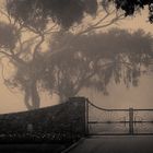 Gate near San Simeon, CA