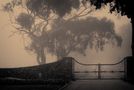 Gate near San Simeon, CA by Eric Dahan 