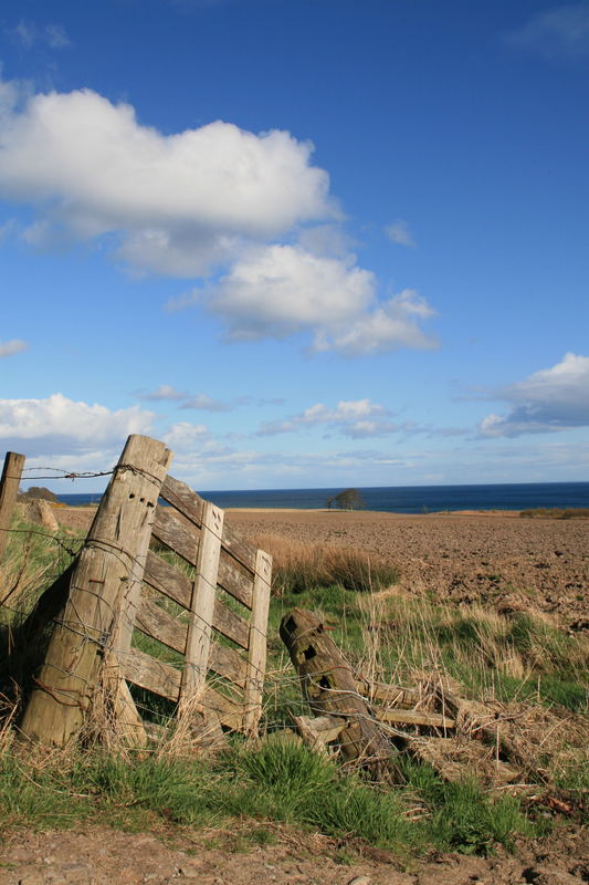 Gate - North East Coast